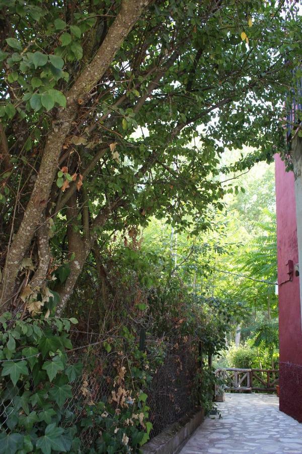 Ferienwohnung El Balcon Del Hueznar Cazalla de la Sierra Exterior foto